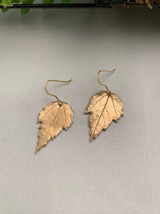 Bronze Leaves
