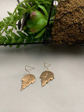 Bronze Leaves