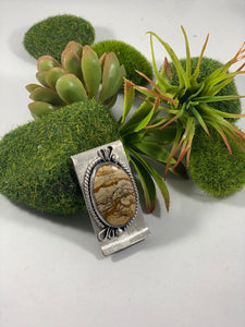Money Clip: Landscape Jasper