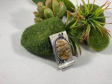 Money Clip: Landscape Jasper