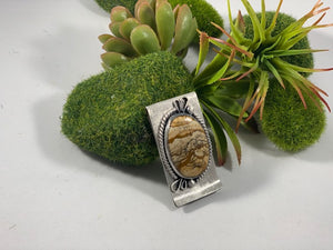 Money Clip: Landscape Jasper