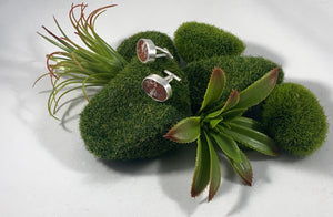 Cufflinks: Crazy Lace