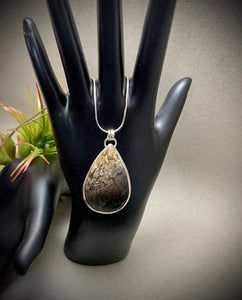 Fossilized Palm Root Pendant