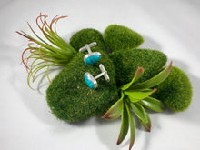Cufflinks: Turquoise