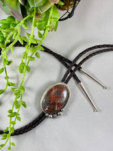 Crazy Lace Agate Bolo