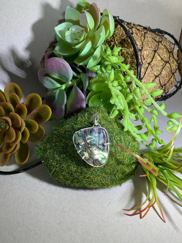 Paua Shell pendant