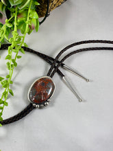 Crazy Lace Agate Bolo